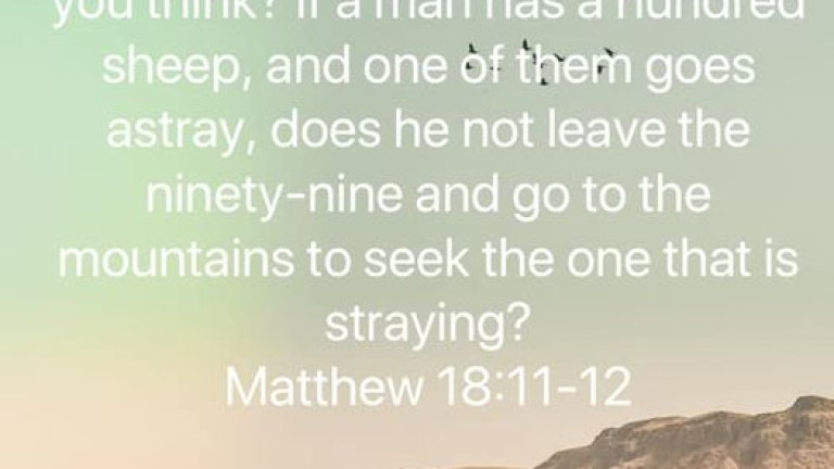 Our Good Shepherd